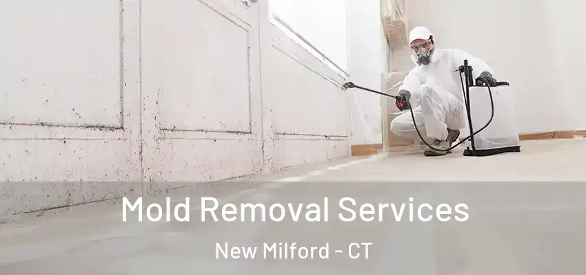  Mold Removal Services New Milford - CT