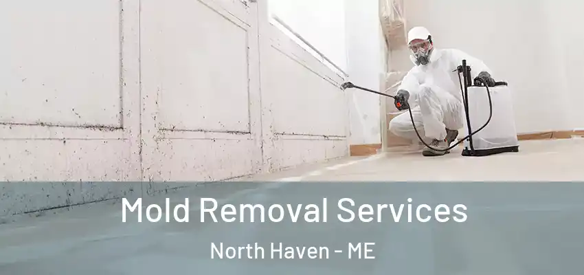 Mold Removal Services North Haven - ME