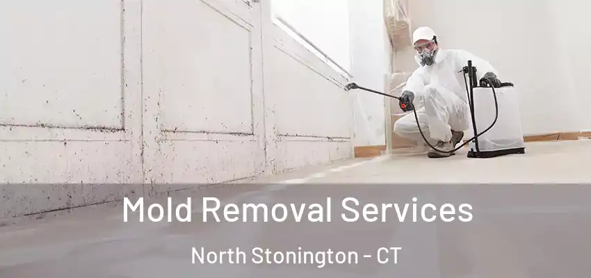  Mold Removal Services North Stonington - CT
