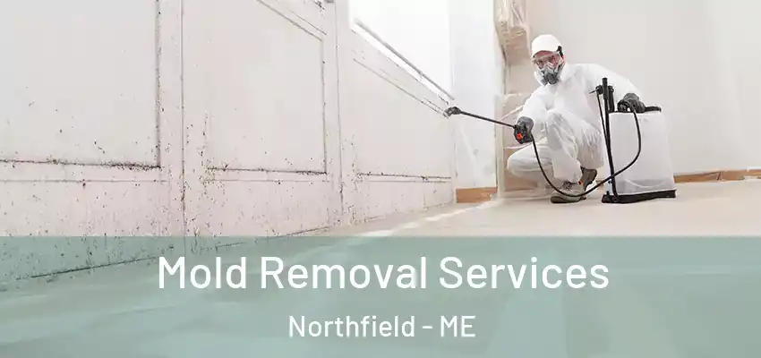 Mold Removal Services Northfield - ME