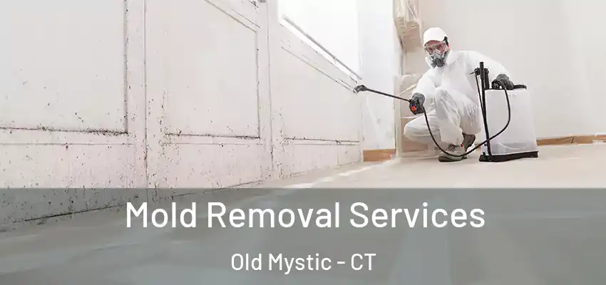 Mold Removal Services Old Mystic - CT