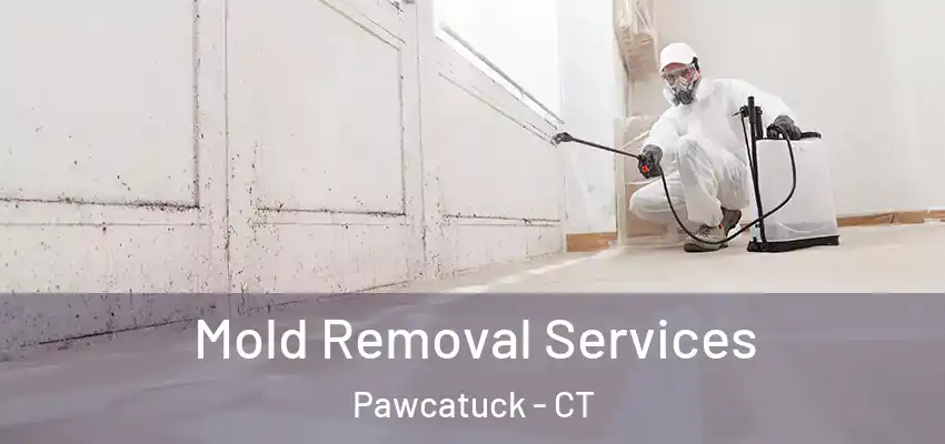 Mold Removal Services Pawcatuck - CT