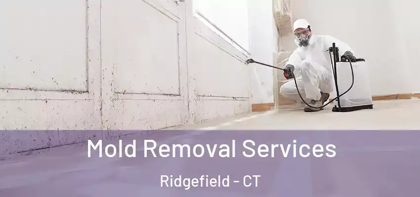 Mold Removal Services Ridgefield - CT