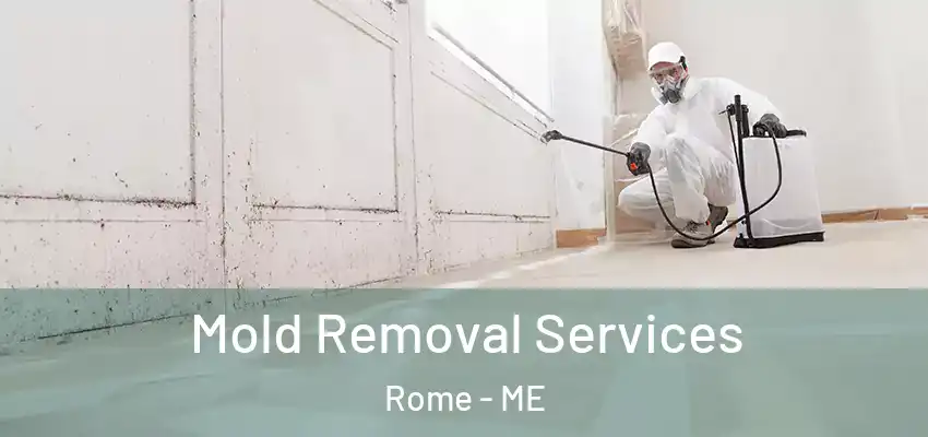 Mold Removal Services Rome - ME