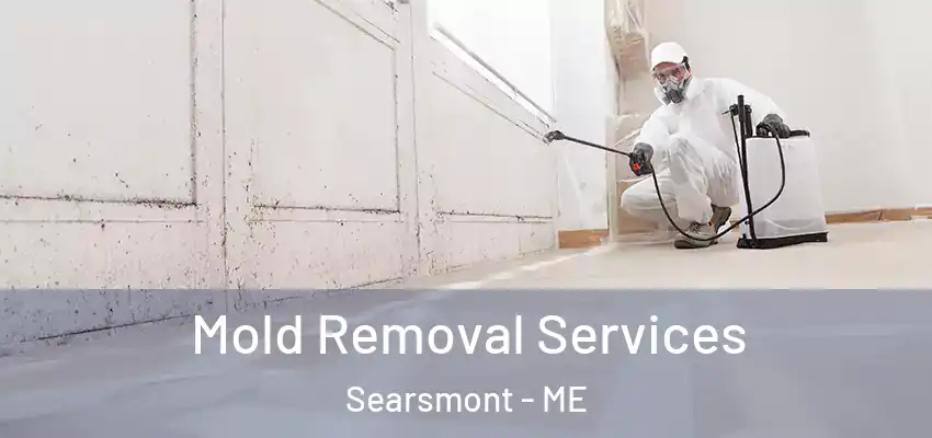 Mold Removal Services Searsmont - ME