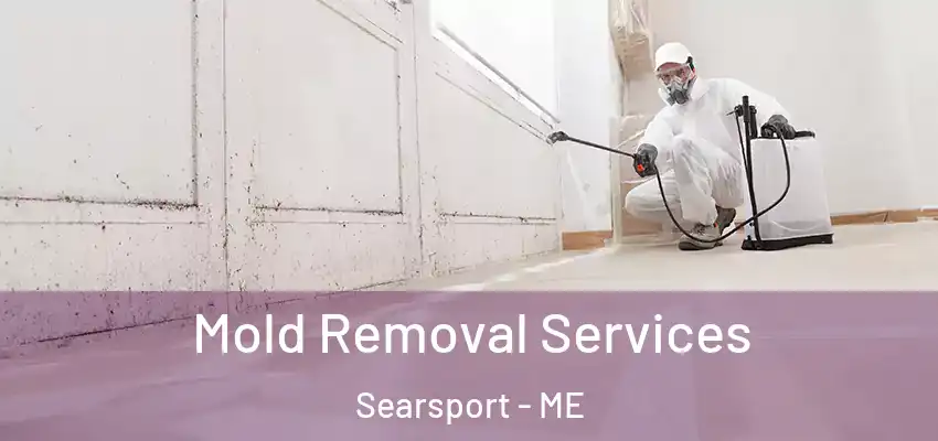  Mold Removal Services Searsport - ME