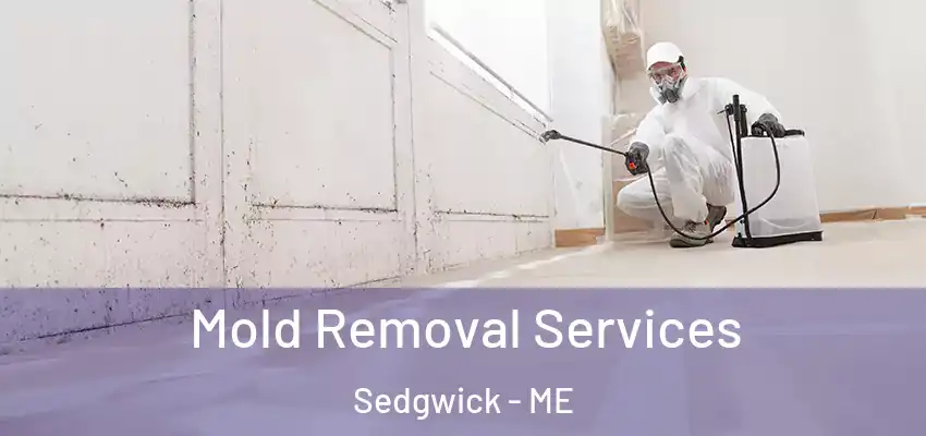 Mold Removal Services Sedgwick - ME