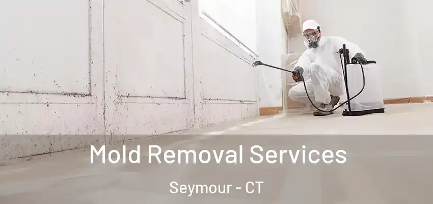 Mold Removal Services Seymour - CT