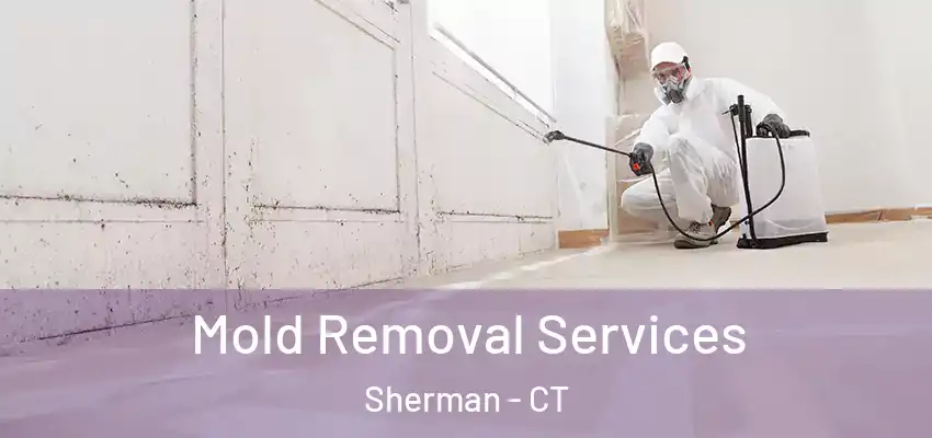 Mold Removal Services Sherman - CT