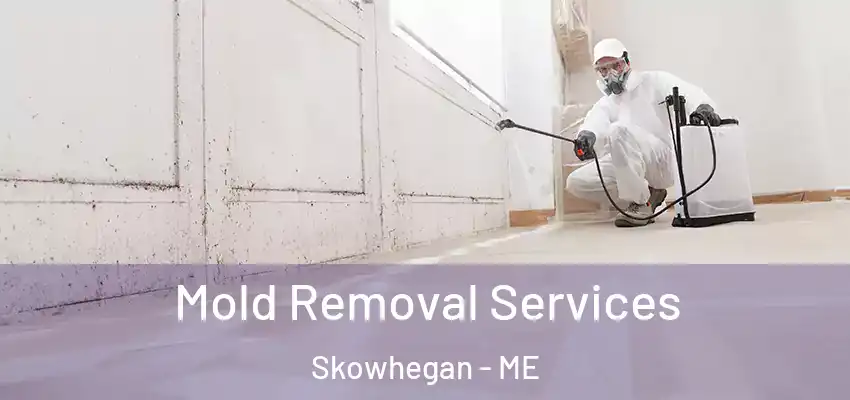  Mold Removal Services Skowhegan - ME
