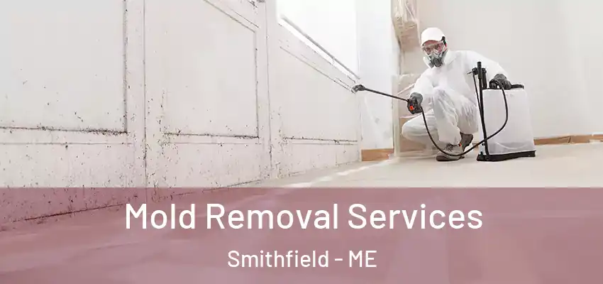 Mold Removal Services Smithfield - ME