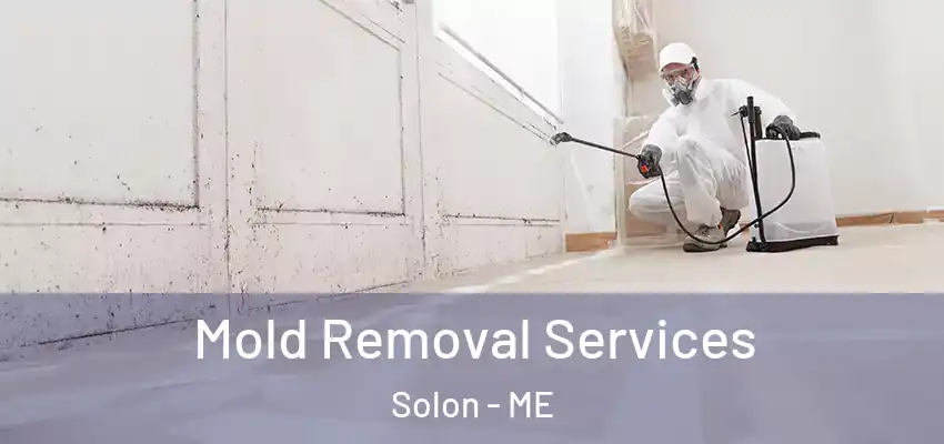 Mold Removal Services Solon - ME