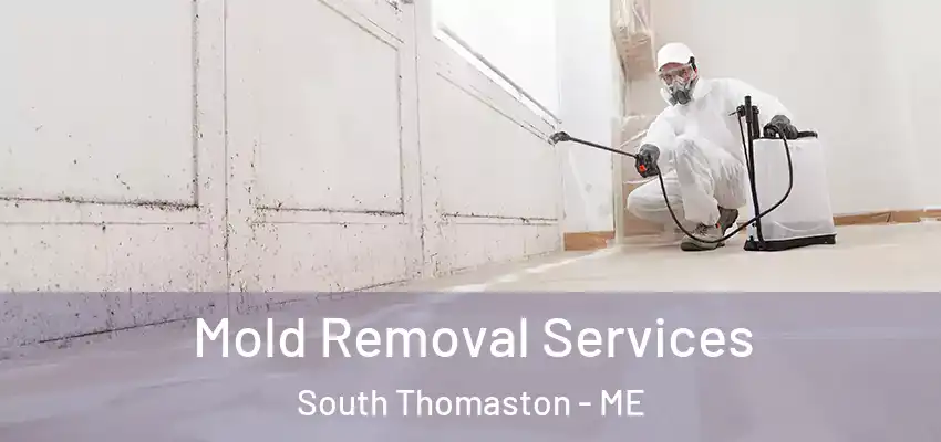 Mold Removal Services South Thomaston - ME