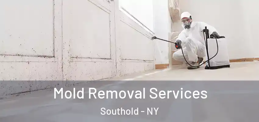 Mold Removal Services Southold - NY