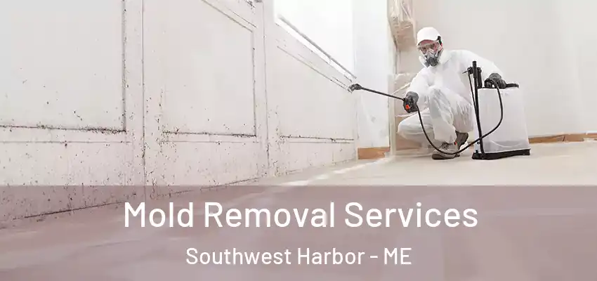 Mold Removal Services Southwest Harbor - ME