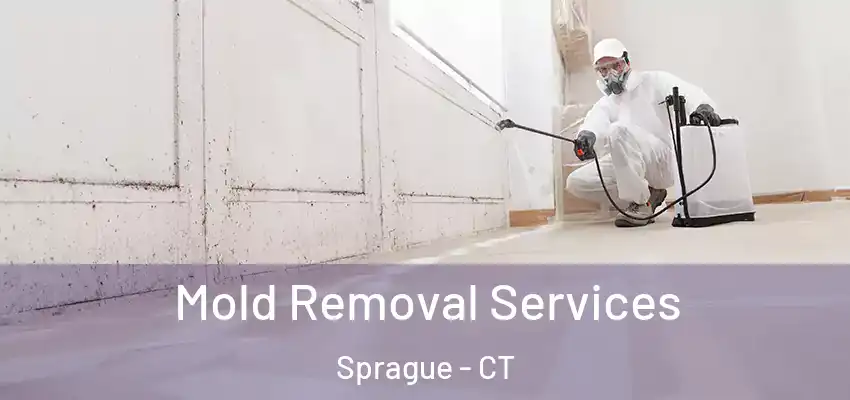Mold Removal Services Sprague - CT