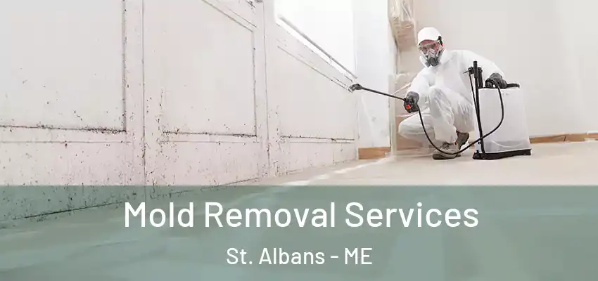 Mold Removal Services St. Albans - ME