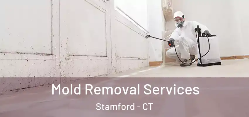 Mold Removal Services Stamford - CT