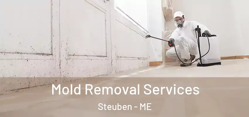 Mold Removal Services Steuben - ME