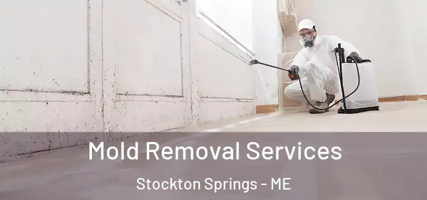  Mold Removal Services Stockton Springs - ME
