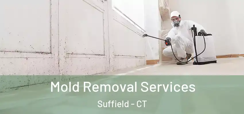 Mold Removal Services Suffield - CT