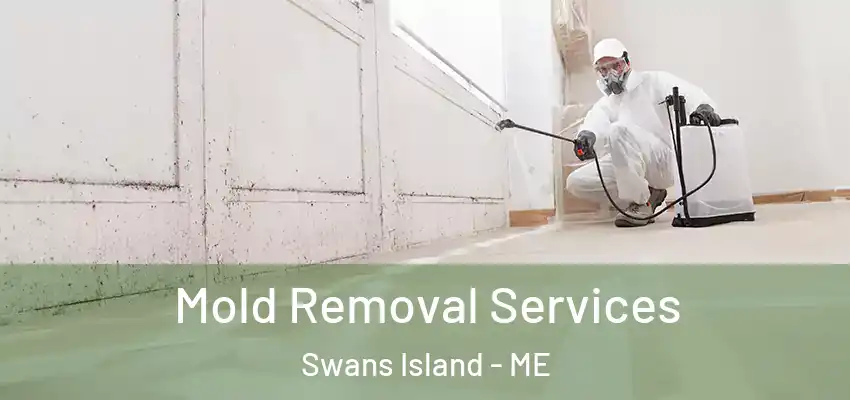 Mold Removal Services Swans Island - ME