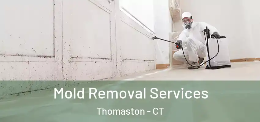 Mold Removal Services Thomaston - CT