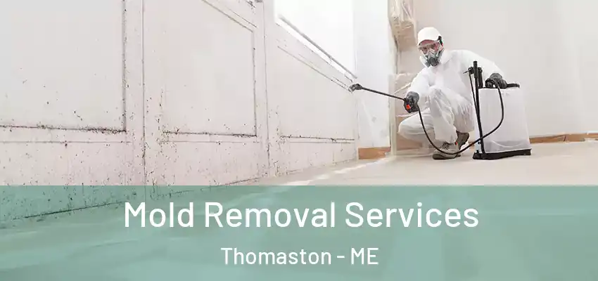 Mold Removal Services Thomaston - ME