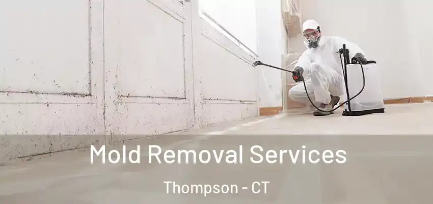 Mold Removal Services Thompson - CT