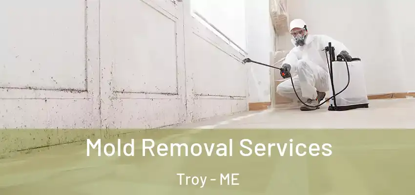 Mold Removal Services Troy - ME