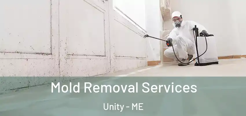 Mold Removal Services Unity - ME
