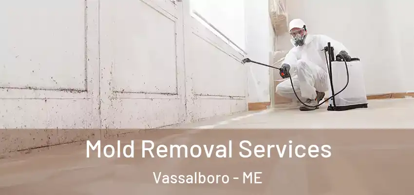 Mold Removal Services Vassalboro - ME