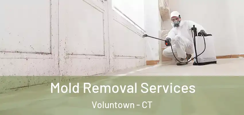 Mold Removal Services Voluntown - CT