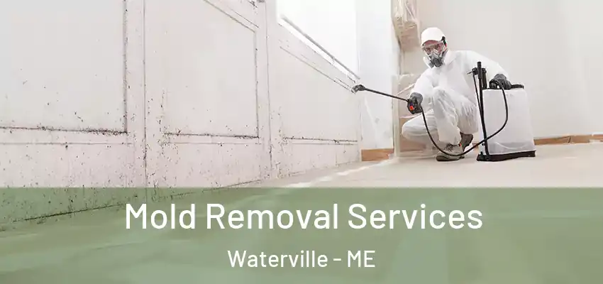 Mold Removal Services Waterville - ME
