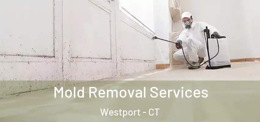 Mold Removal Services Westport - CT