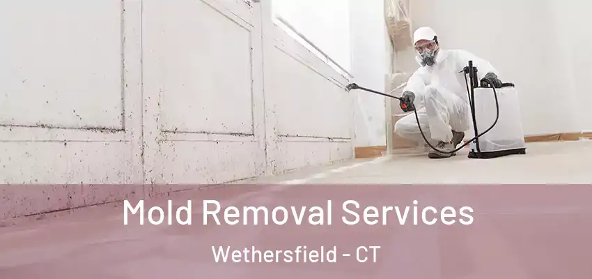 Mold Removal Services Wethersfield - CT