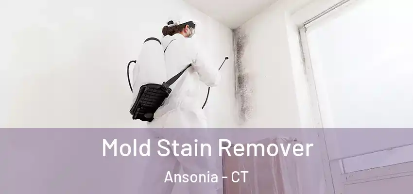  Mold Stain Remover Ansonia - CT
