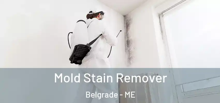  Mold Stain Remover Belgrade - ME