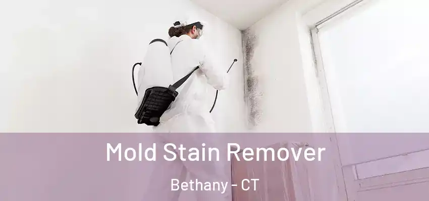  Mold Stain Remover Bethany - CT