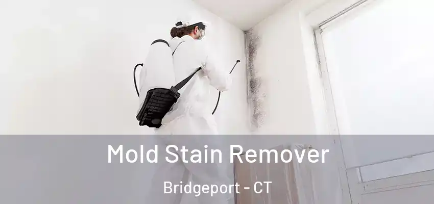 Mold Stain Remover Bridgeport - CT