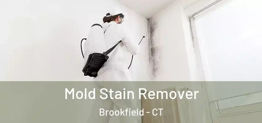  Mold Stain Remover Brookfield - CT