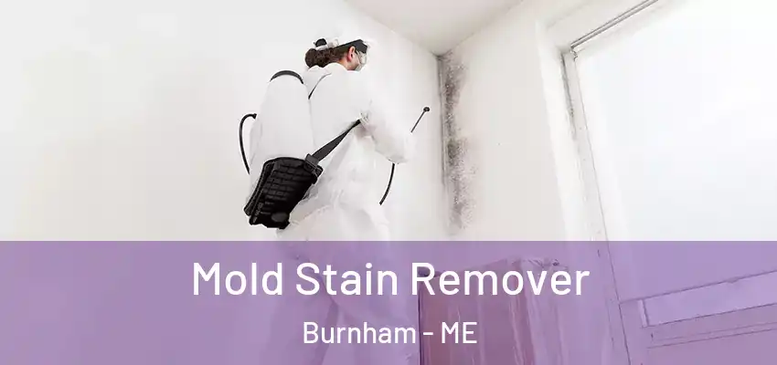  Mold Stain Remover Burnham - ME