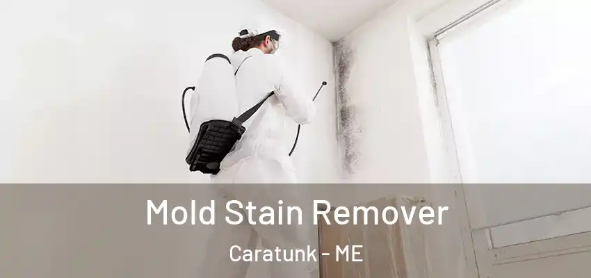 Mold Stain Remover Caratunk - ME