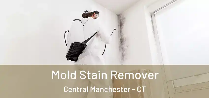  Mold Stain Remover Central Manchester - CT