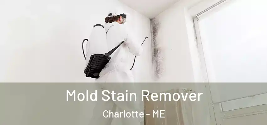  Mold Stain Remover Charlotte - ME