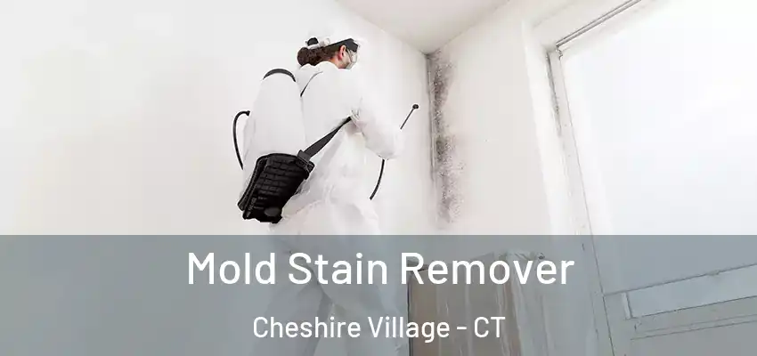 Mold Stain Remover Cheshire Village - CT