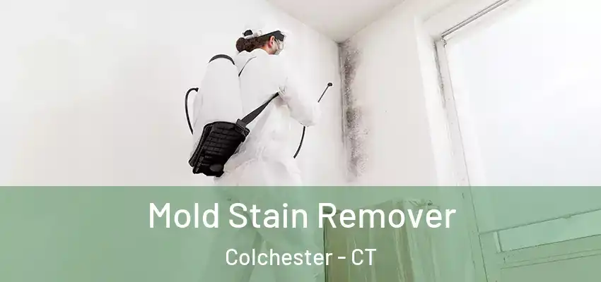  Mold Stain Remover Colchester - CT