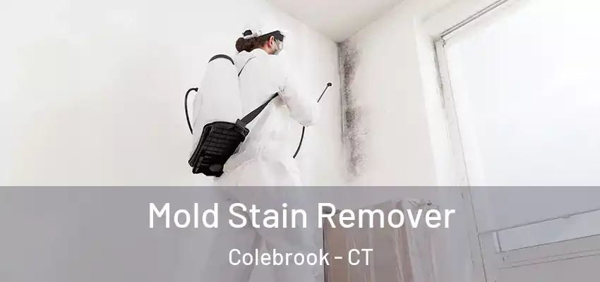Mold Stain Remover Colebrook - CT
