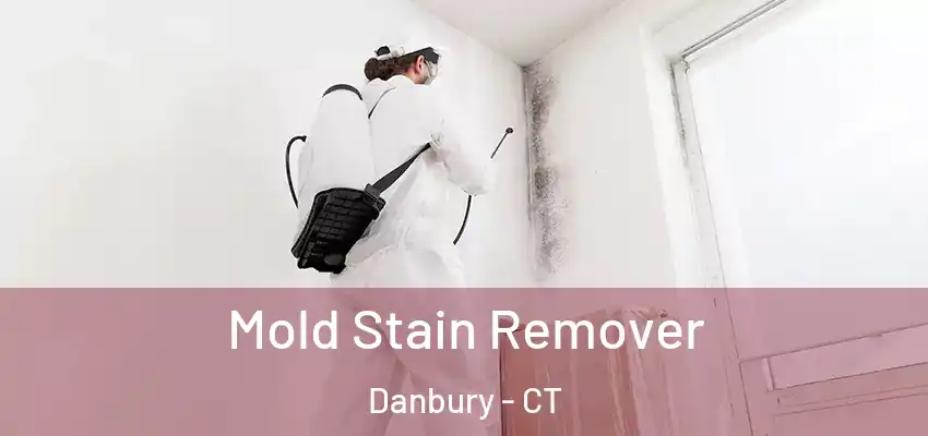 Mold Stain Remover Danbury - CT