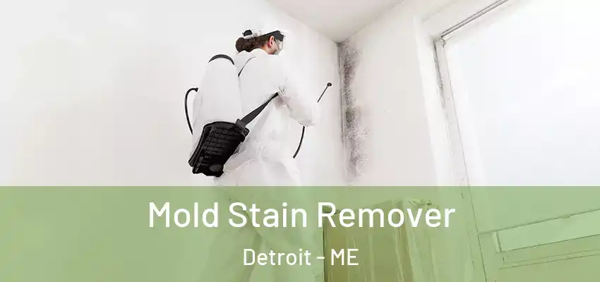 Mold Stain Remover Detroit - ME